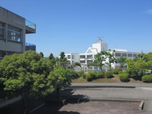 小金台小学校5月