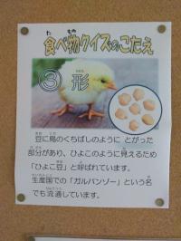 ひよこ