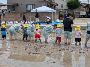 幼稚園児田植えの状況