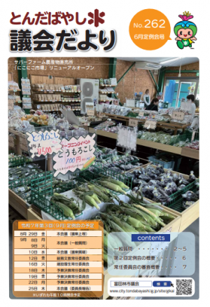 262表紙