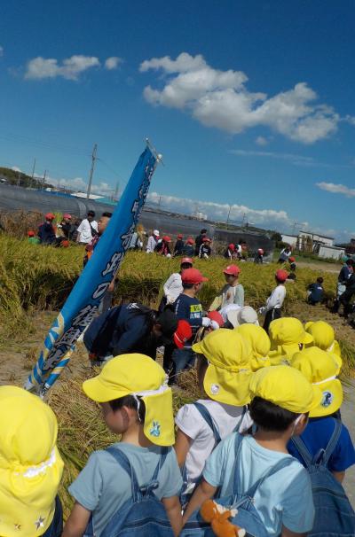 小学生も一緒に稲刈り