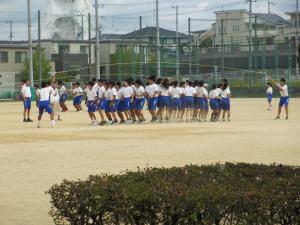 体育大会の練習2