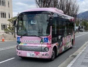 北大伴線、石川線、河内線、白木線、（さくら坂循環線）、（阪南線）バス写真1