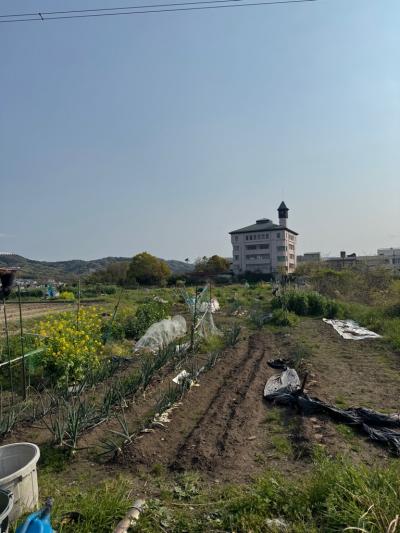 たけちゃん農園(2)