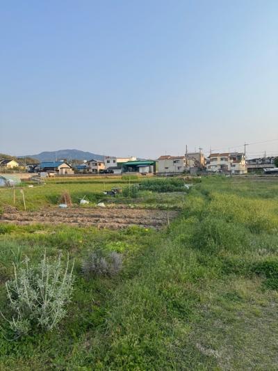 horikawa小規模農園A(1)