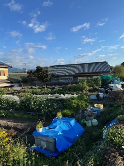 市民憩いの農園 いけがわ(1)