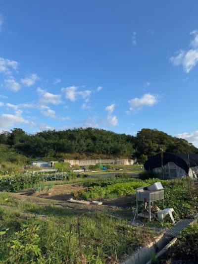 福田ファーム1(1)