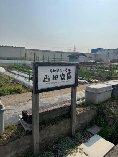 錦織西田農園(1)