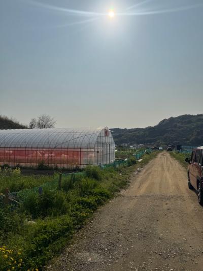 福田ファーム2(1)