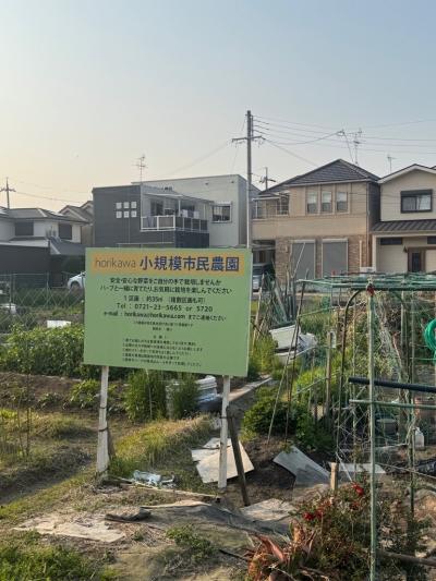 horikawa小規模農園Ｂ(1)