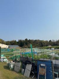 松村ファーム(2)