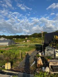 福田ファーム1(2)