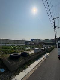 錦織西田農園(2)