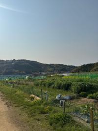 福田ファーム2(2)