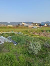 horikawa小規模農園A(2)