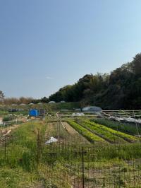 クラインガルテン2(2)