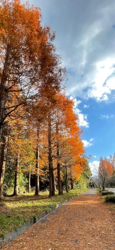 R7_最優秀賞_こんごう福祉センター内