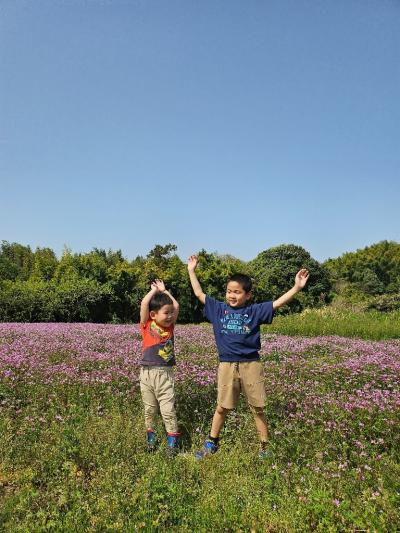 R7_特別賞-5_下佐備公園近くのレンゲ畑