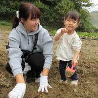 芋掘り体験