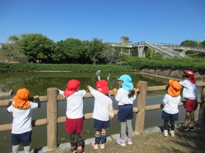 龍のいる池を発見！