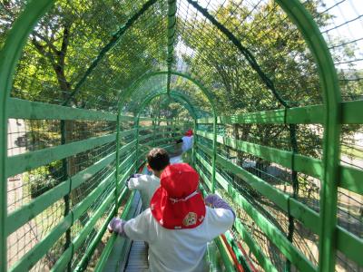 なが〜い滑り台をみんなで滑っています。