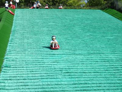 芝すべりを楽しんでいます