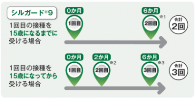 一般的な接種スケジュール