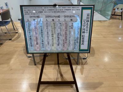 展示の様子