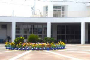 小学校花壇