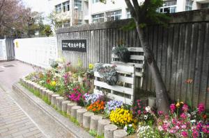 中学校花壇