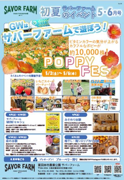 初夏のイベント5・6月号