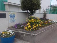 正門の花