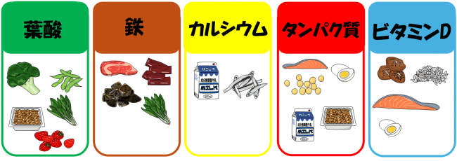 不足しがちな栄養素