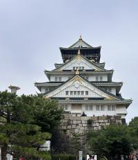 城