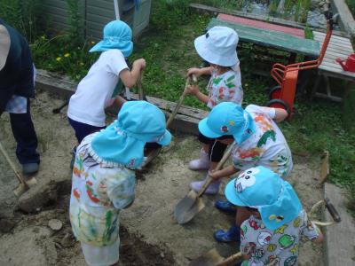 田んぼを耕します。