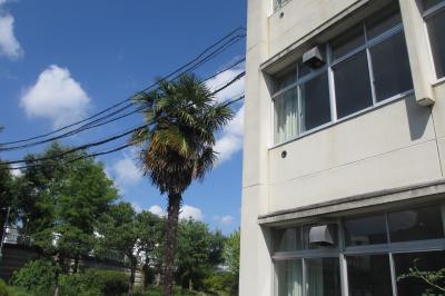 梅雨明け