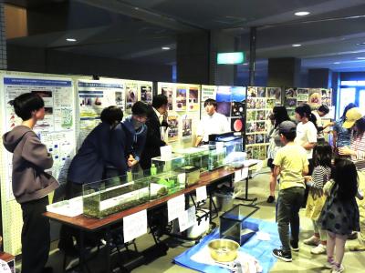 展示の様子