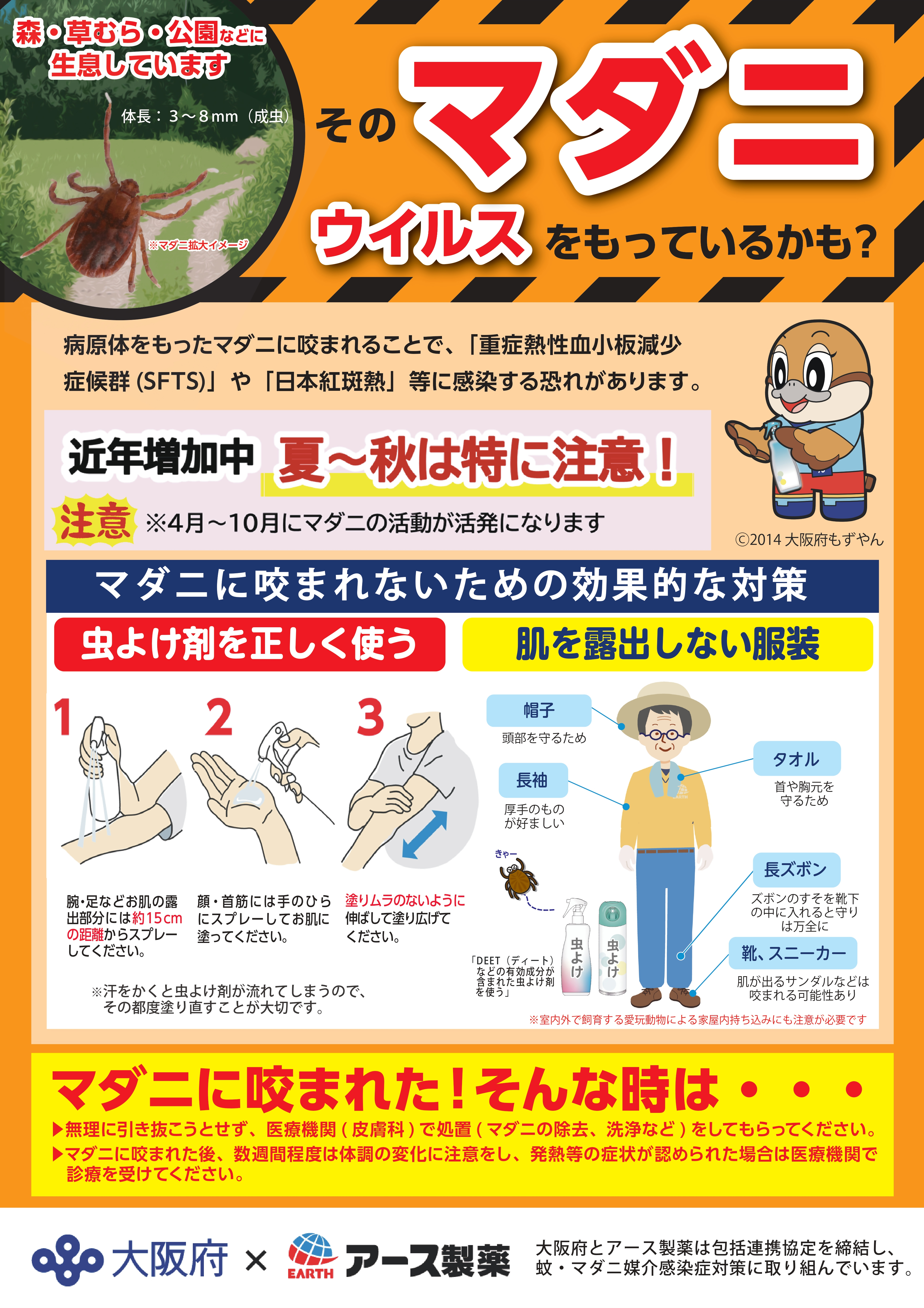 マダニ画像