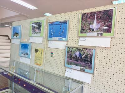 展示の様子2