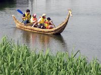 辰池に浮かぶ葦船の画像