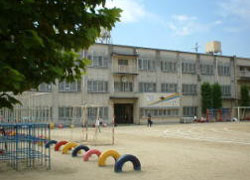 富田林小学校の画像