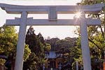 美具久留御魂神社鳥居の写真