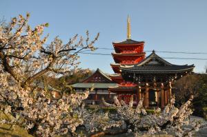 目白不動願昭寺の写真