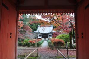 秋の龍泉寺