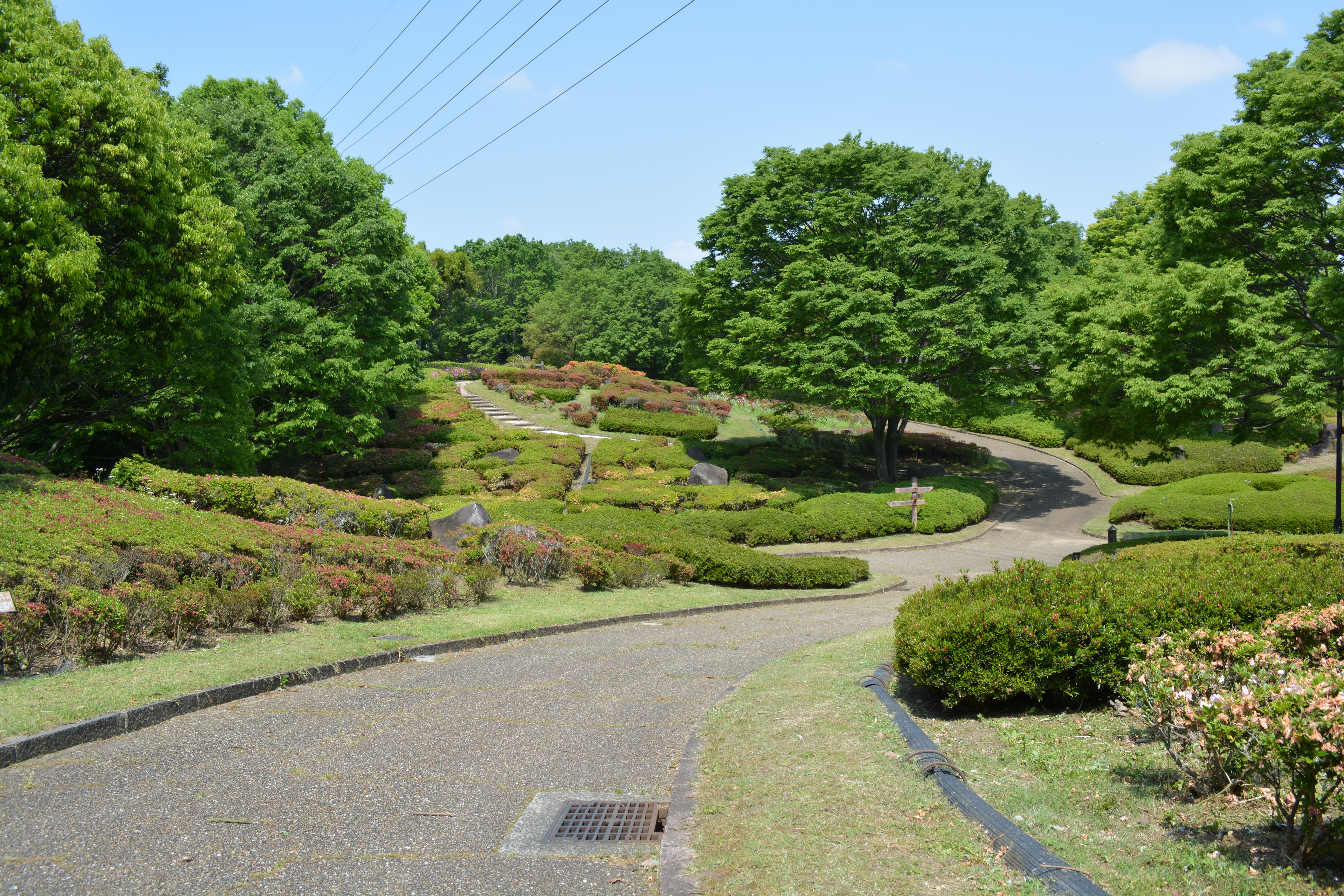 錦織公園