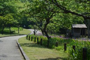 錦織公園の写真