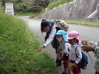 木にいる何かを発見