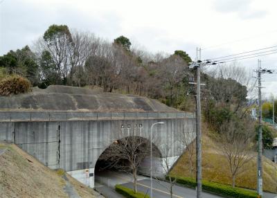 廿山古墳・二本松古墳