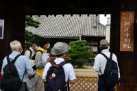 富田林寺内町を歩く様子の写真