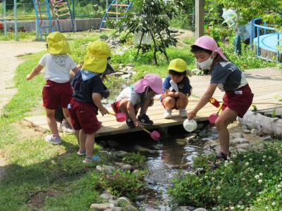 川で遊ぶはなほし